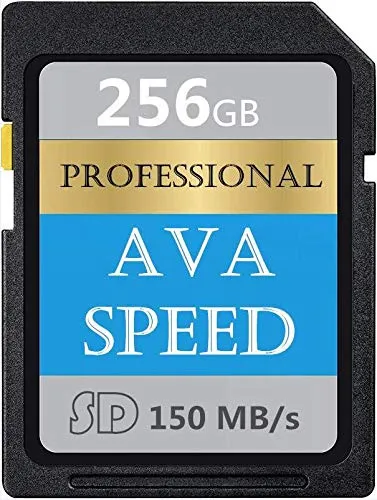 Scheda di memoria SDXC da 256 GB UHS-I, scheda SD memoria V60, U3, Max 150 MB/S ad alta velocità per videocamere (256 GB)