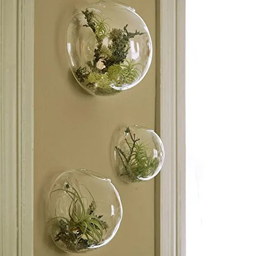 Set di 3 terrari da parete a forma di bolla in vetro, mini porta-piante / micro acquari decorativi da parete
