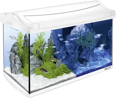 Tetra Set completo per acquario a LED AquaArt da 60 litri - include illuminazione a LED, interruttore luce diurna e notturna, filtro interno EasyCrystal e riscaldatore per acquario, colore: bianco