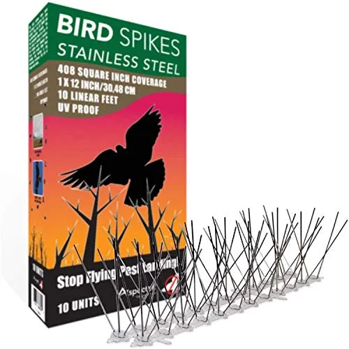 ASPECTEK Kit di Punte per Uccelli Premontate in Acciaio Inossidabile, 10 Piedi (3 Metri). Perfect Bird Gel deterrente (Senza Colla)