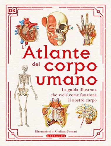 L'atlante del corpo umano