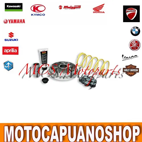 5114258 MULTIVAR VARIATORE MALOSSI SUZUKI BURGMAN AN 400 ie 4T LC