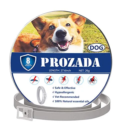 PROZADALAN Collare Antipulci Cane (8 Mesi) Prevenzione Pulci e Zecche - con Estratti di Oli Essenziali - Ipoallergenico Taglia Unica per Tutti i Cani (70cm)