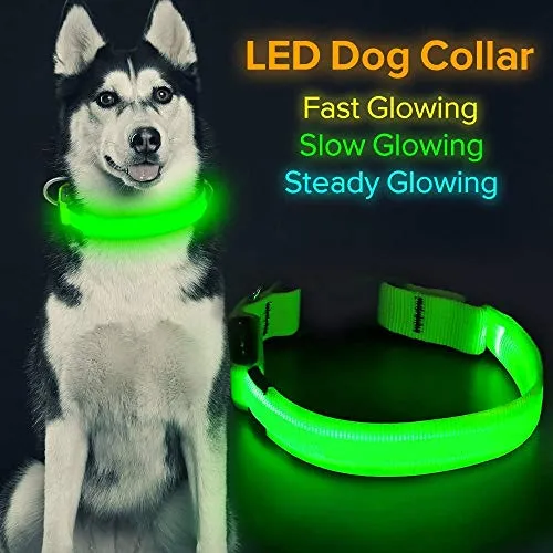 Collare Led Cani Collare Cane Luminoso ISEEN USB LED Collare Luminoso di Sicurezza per Animale Domestico d'ardore e Misura Regolabile Adatto per Collare Cane Taglia Grande(L, verde)