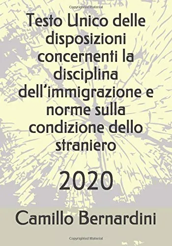 Testo Unico delle disposizioni concernenti la disciplina dell’immigrazione e norme sulla condizione dello straniero: 2020