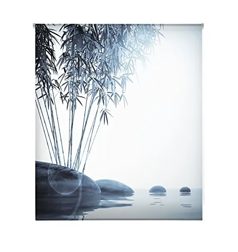 Blindecor W-Z-47466 – Tenda a Rullo Trasparente, Stampa Digitale, 130 x 180 cm, Multicolore
