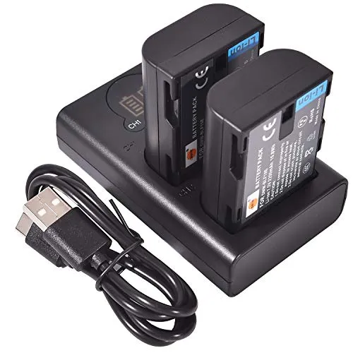 DSTE 2x DMW-BLF19E Ricambio Batteria + Caricatore doppio USB con display LCD Compatibile per DMW-BLF19 e Panasonic Lumix DMC-GH3,DMC-GH3GK,DMC-GH3H,DMC-GH3HGK,DMC-GH3KBODY,DMC-GH4H,DMC-GH4 Fotocamera