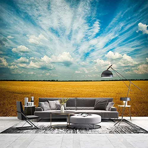 Foto Murale 3D Murando Carta Da Parati 250X175Cm Cielo Distante Del Giacimento Di Grano Dorato Decorazione Da Muro Design Carta Per Pareti Natura