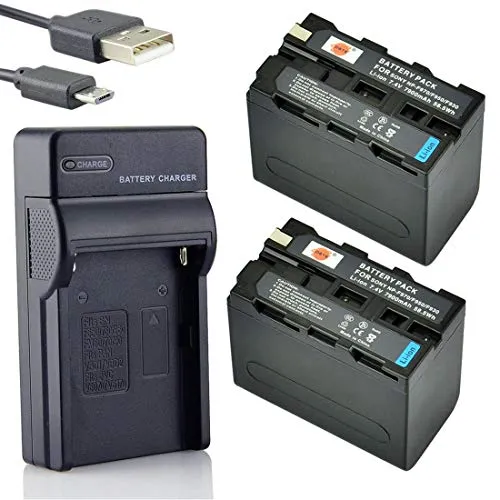 DSTE NP-F970 Li-Ion Batteria (2-Pacco) e Caricabatterie USB Compatibile per Sony CCD-TR716 CCD-TR818 CCD-TR910 CCD-TR917 CCD-TR930