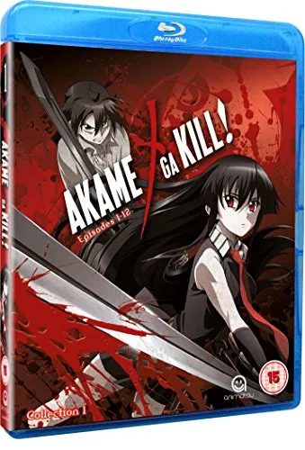 Akame Ga Kill - Collection 1 [Edizione: Regno Unito] [Edizione: Regno Unito]