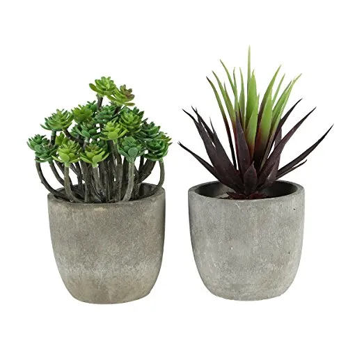 WINOMO 2 Pezzi Decorativo Artificiale della pianta grassa Retro Faux Succulente con vasi (Dark Aeonium e Red Gladiolus)