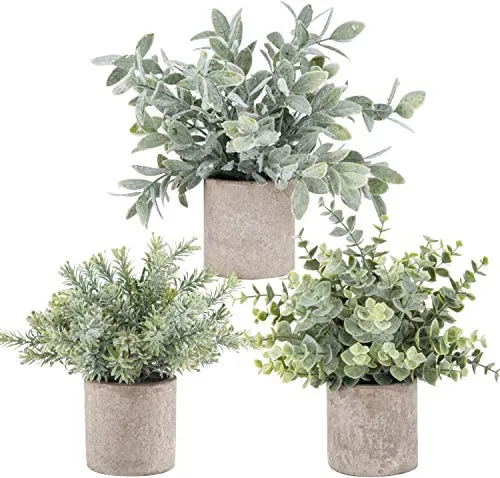 Der Rose - Confezione da 3 mini piante di eucalipto artificiali in plastica per casa, ufficio, scrivania e decorazione della stanza
