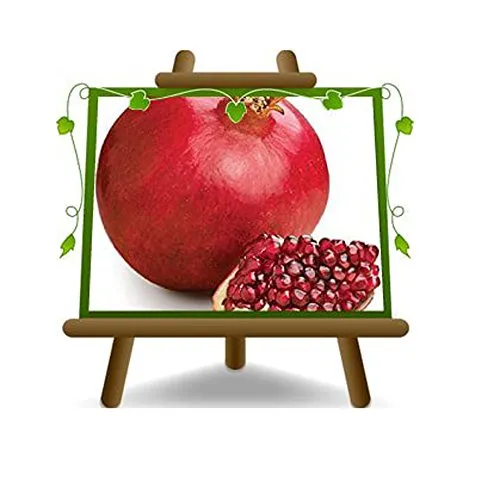 Melograno a Frutto Rosso – Soft Seed - Pianta da frutto su vaso da 20 - max 180 cm - 2 anni