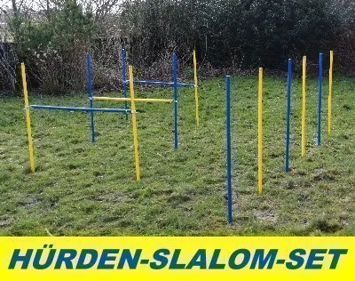 Ostacoli agility dog/set aste per slalom colore blu/giallo