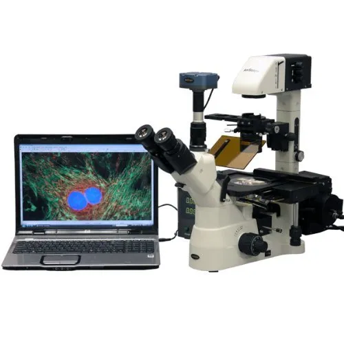 Amscope in480ta-fl-mf 40 x -900 x contrasto fluorescenza Inverted microscopio + fluo camera