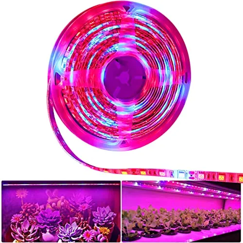 Tesfish La pianta LED coltiva la luce della striscia DC 12V IP65 impermeabile Spettro pieno SMD 5050 Rosso blu 5: 1 luce della corda per l'acquario Serre pianta