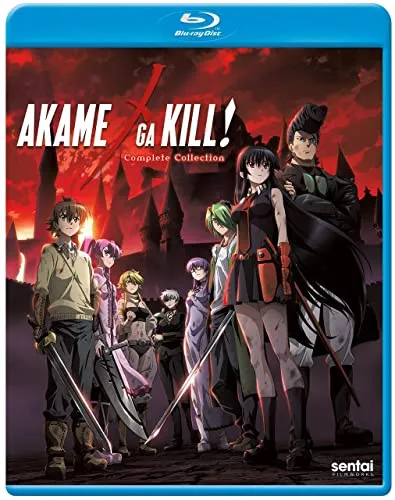 Akame Ga Kill: Complete Collection (3 Blu-Ray) [Edizione: Stati Uniti]