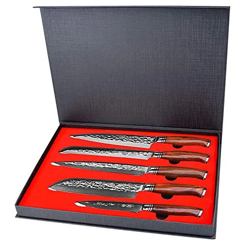 YARENH Set Coltelli Professionali Cucina 5 Pezzi,Coltelli Cucina Set en Lama in Acciaio Damasco Giapponese,Coltello da Cucina,Global Coltello,Coltelli Professionali Chef,Coltelli Giapponesi