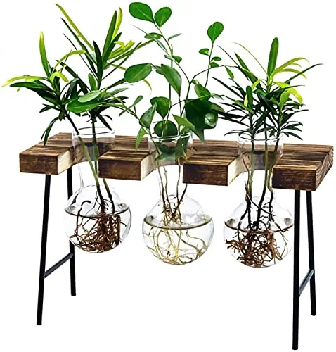 LESES Vaso di vetro Stazione di Propagazione, Vasi per piante con supporto in legno Vaso di fiori Terrario per idroponica Casa Ufficio Giardino Decor
