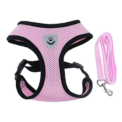 Aolvo Kit con guinzaglio e pettorina, in maglia traspirante, regolabile, con pettorina imbottita, per cani di piccola taglia, piccoli animali domestici, gatti e cuccioli