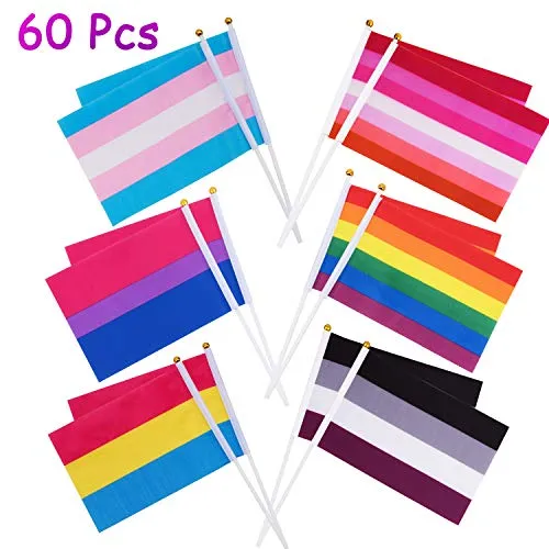 Whaline 60 Pack Rainbow Stick Flags, Gay Pride Mini Bandiere Transgender Asessuale Bisessuale Pansexual Lesbian Flags LGBT Party Parade Decorazioni (10 pezzi ciascuno di 6 modelli)