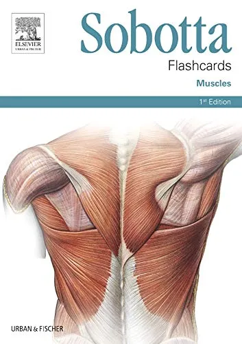 Sobotta Flashcards Muscles: Muscles, 1e