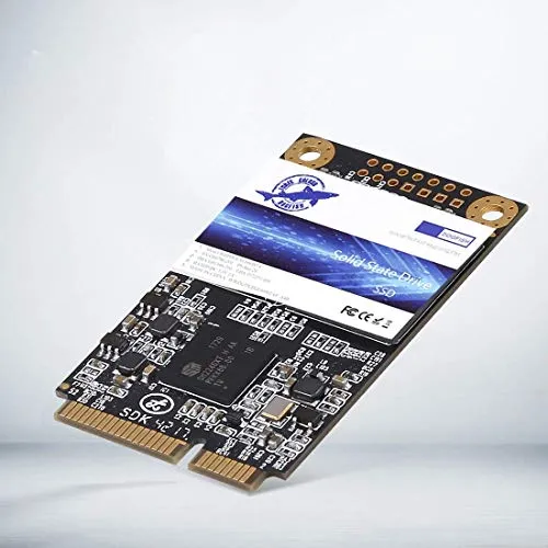 Dogfish SSD 64GB msata Inch Unidad De Estado Sólido Incorporada Height High Speed Unità a Stato Solido Integrata Interno MLC Desktop Laptop Hard Drive Disk