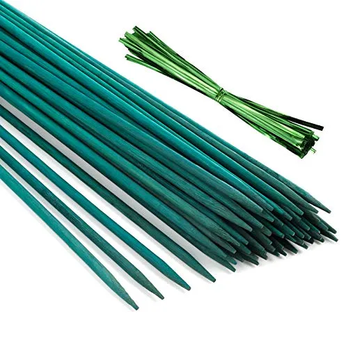 Pllieay 30PCS 17,5 Pollici / 44,5 cm Bastoncini di bambù Verde, Pali di Piante Verdi, Bastoncini di Supporto per Piante da Fiore con 60 Pezzi di Lacci Metallici Verdi