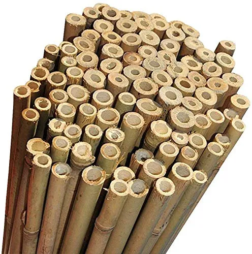 Canne di Bambu' Restenti e Naturali - Per Sostegno Ortaggi e Piante o Arredamento di design - Ideali per Pomodori, Rampicanti e per il tuo orto - Canna Bamboo (25 PEZZI - h.210cm / Ø18-20mm)