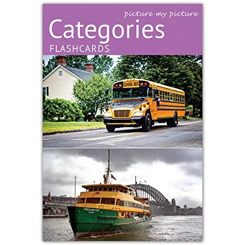 Picture My Picture Categorie Flash Cards | Carte Linguaggio Inglese per Bambini e Adulti | Materiale ABA Autismo - Giochi Educativi Autismo