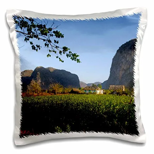Danita Delimont - Agriculture - Vinales Valley and Tobacco Crop. Sierra Rosario Mountains. Cuba - 16x16 inch Pillow Case (pc_207423_1)