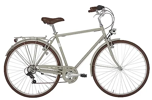 Alpina Bike Bicicletta, Grigio Ghiaia, 28 Pollici, Telaio 58 cm