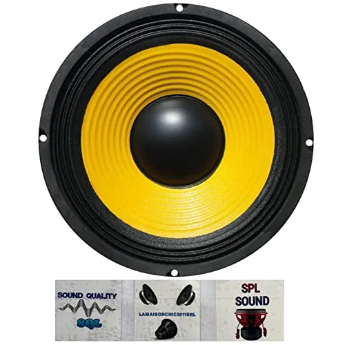 1 WEB W-108 diffusore woofer da 25,00 cm 250 mm 10" da 75 watt rms e 150 watt max con impedenza 8 ohm per casa feste party sensibilità 88 db,1 pezzo