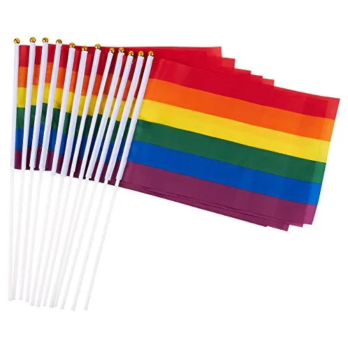 Juvale - Bandierine Gay Pride (12 pezzi) – Piccole bandiere arcobaleno, per Mardi Gras, Gay Pride, Rainbow Party Supplies – 11,7 x 19,7 cm