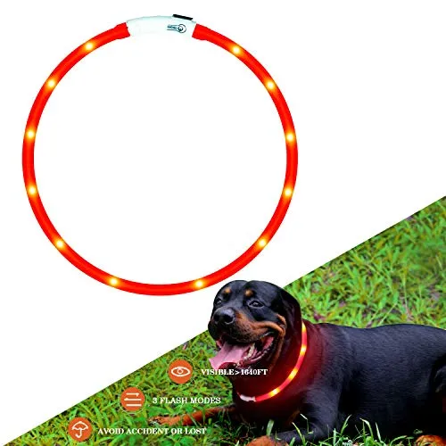 KABB Collare di Cane a LED Lampeggiante con USB Ricaricabile e Misura Small Medium Large da 27.5 Pollici / 70 CM (Rosso)