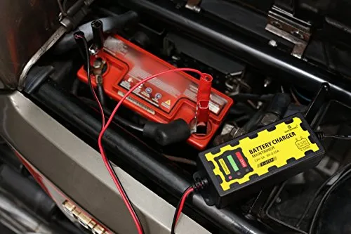 LGVSHOPPING Caricabatterie mantenitore Batteria 6V 12V 1A con cavetti per Auto Moto