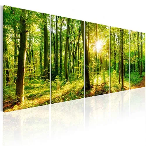 murando Quadro su Vetro Acrilico Foresta 150x60 cm 5 Parti Quadro Moderno Impreso Stampa Immagini Murale Fotografia Decorazione da Parete Foresta Paesaggio Natur Albero c-B-0184-k-m