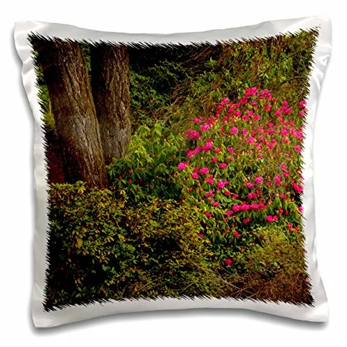 Danita Delimont - Flowers - Rhododendrons, Crystal Springs Rhododendron Garden, Portland, Oregon - 16x16 inch Pillow Case (pc_208291_1)