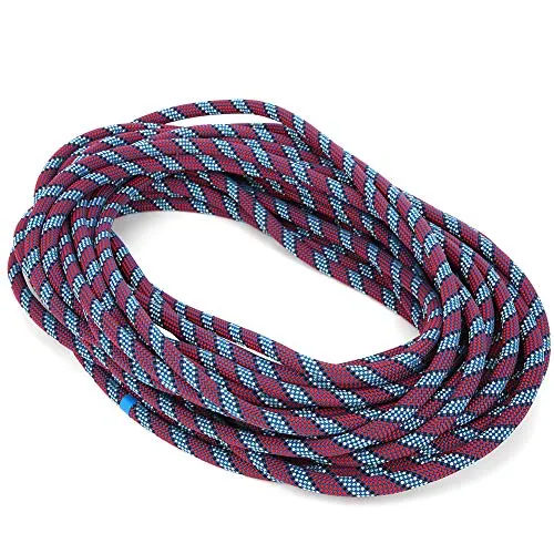 Alomejor Corda in Nylon 20 M, Corda da Arrampicata Multifunzionale da 11 mm Corda da Arrampicata Attrezzatura anticaduta, Attivit¡§¡è all'aperto(Viola)