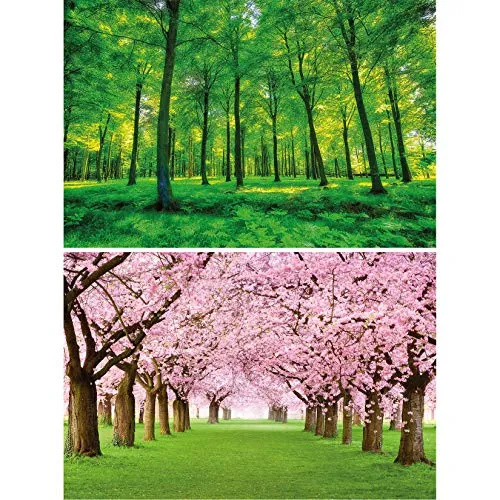 GREAT ART Set di 2 Poster XXL – Alberi della Foresta – Foresta Verde e viale con Fiori di ciliegio Carta da Parati Foto Natura Primavera Estate Fiori Paesaggio Poster (140 x 100 cm)