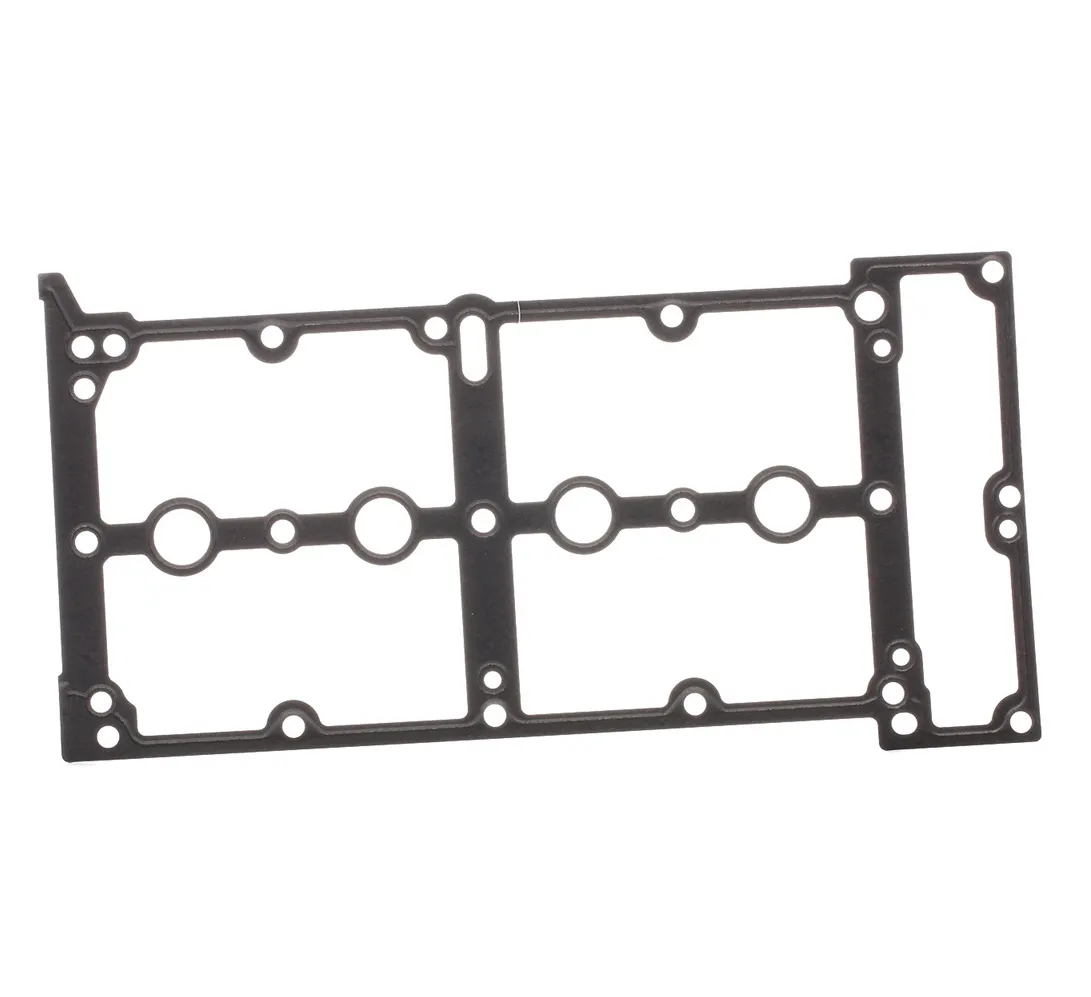 REINZ Guarnizione Coperchio Punterie OPEL,FORD,FIAT 71-36259-00 73500063,93177255,0249G7 0249G7,68297479AA,73500063,1563470,9S516584BA,73500063,0249G7