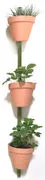 Supporto a parete XPOT / Per 3 vasi da fiori o mensole - H 150 cm -  - Verde - Legno