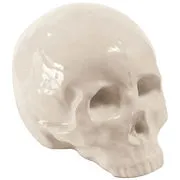 Decorazione Memorabilia My Skull - / Cranio in porcellana di  - Bianco - Ceramica