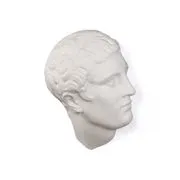 Decorazione Memorabilia Mvsevm - / Testa uomo - H 37 cm di  - Bianco - Ceramica