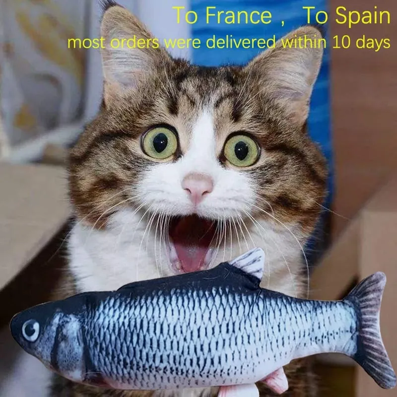 Giotolo elettrico per gatti Pesce 3D Simulazione di ricarica USB in movimento Giotoli per pesci per animali che giocano Forniture per giotoli floppy