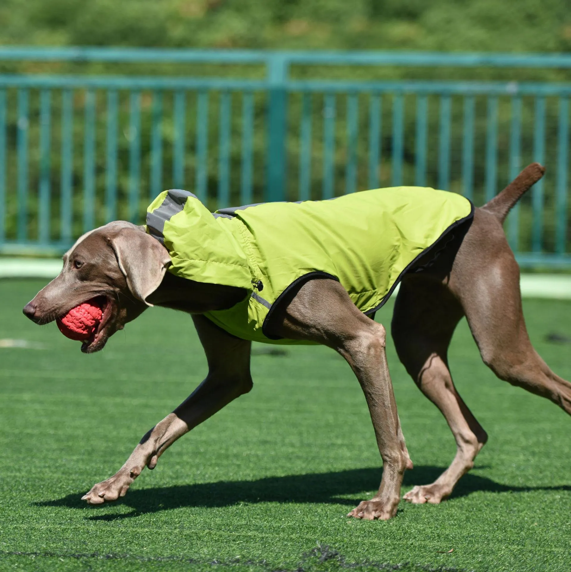 Amazon hot pet abbigliamento cane impermeabile riflettente grande, medio e piccolo a due gambe con cappuccio impermeabile vestiti per cani all'ingros