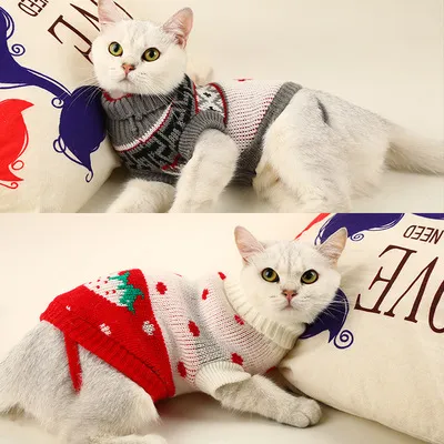 Vestiti dell'animale domestico vestiti del cane del gatto vestiti dell'inverno del gatto glabro del maglione lavorato a maglia dell'animale domestico
