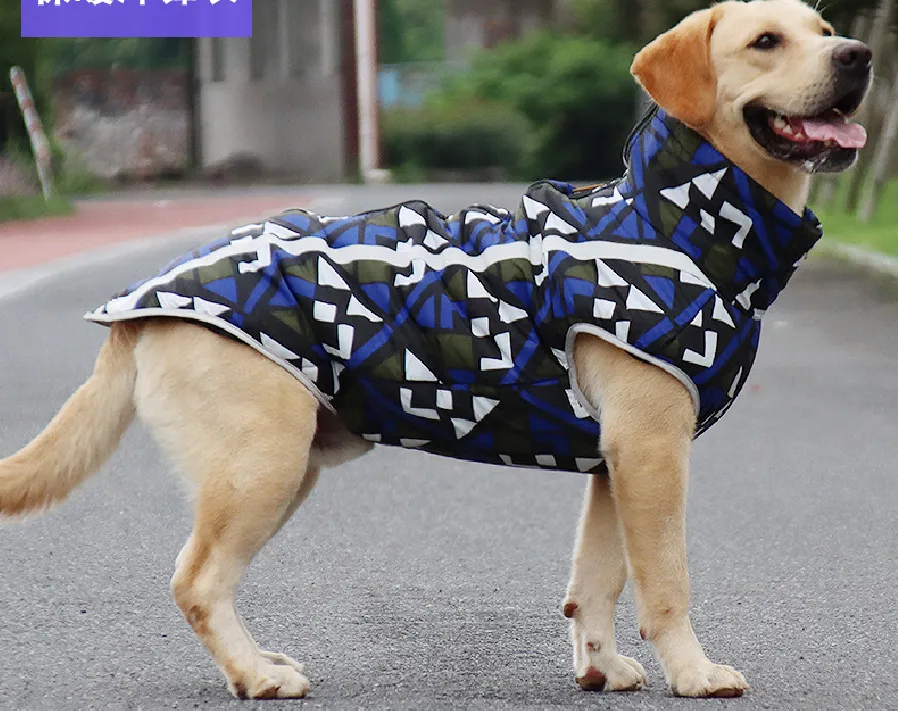 Impermeabile per cani a quattro zampe impermeabile all-inclusive piccolo cane Bichon Hiromi Corgi lotta impermeabile per animali domestici vestiti da