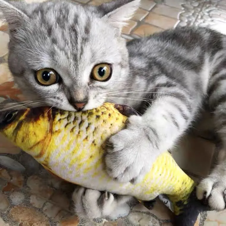 Giocattoli per gatti Erba per gatti Catnip Simulazione Cuscino per pesci Gattino Gatto che morde Bastone per gatti