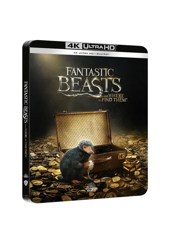 Warner Bros Interactive Entertainment Animali Fantastici e Dove Trovarli Steelbook (4K Ultra HD + Blu-Ray)